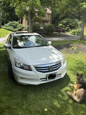 White 2012 Honda Accord EX-L