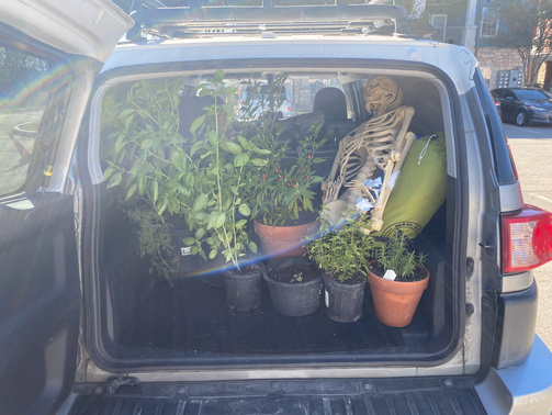 2011 Toyota FJ Cruiser Base