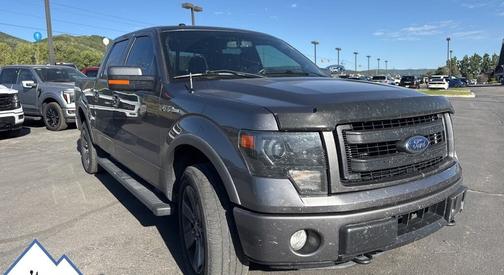 2013 Ford F-150 FX4