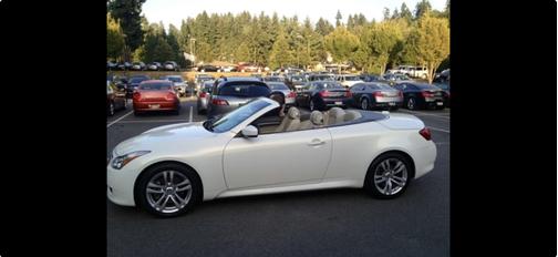 White 2010 INFINITI G37 Base