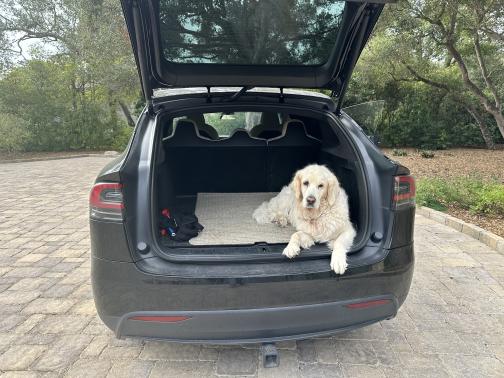 2020 Tesla Model X Long Range Plus