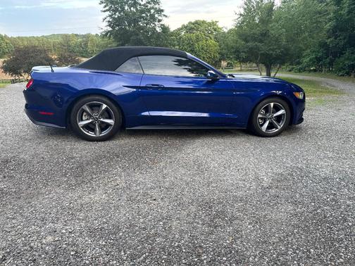 Blue 2016 Ford Mustang EcoBoost Premium