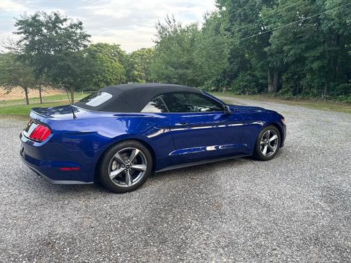 Blue 2016 Ford Mustang EcoBoost Premium