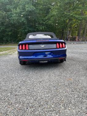 Blue 2016 Ford Mustang EcoBoost Premium