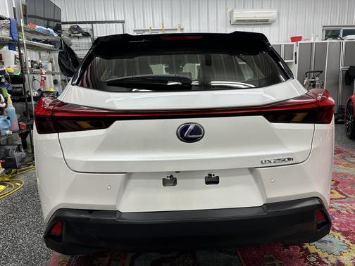 2019 Lexus UX 250h Base