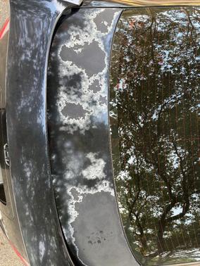 Black 2007 Honda Civic Si