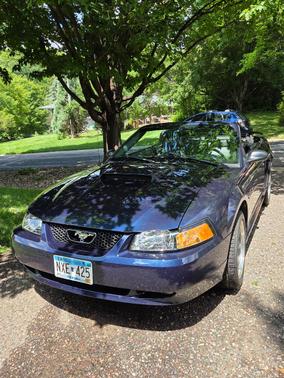 Blue 2002 Ford Mustang GT