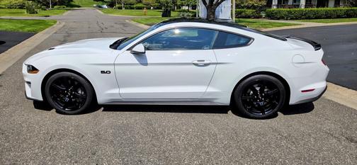 White 2019 Ford Mustang GT