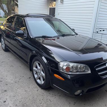 Black 2003 Nissan Maxima SE