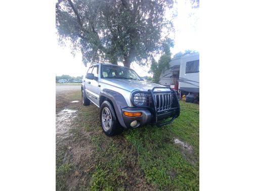 Silver 2004 Jeep Liberty Sport