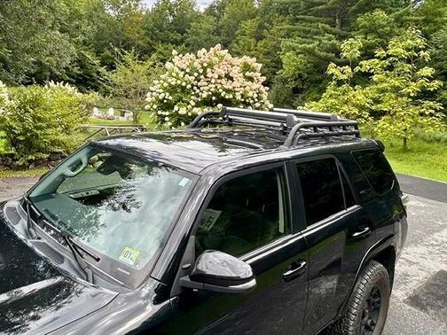 Black 2023 Toyota 4Runner TRD Pro