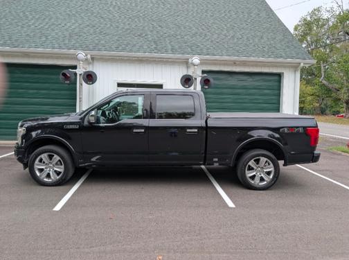 Black 2019 Ford F-150 Platinum