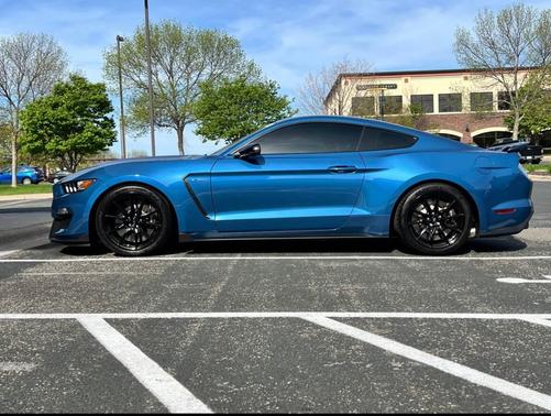 Blue 2019 Ford Shelby GT350 Base