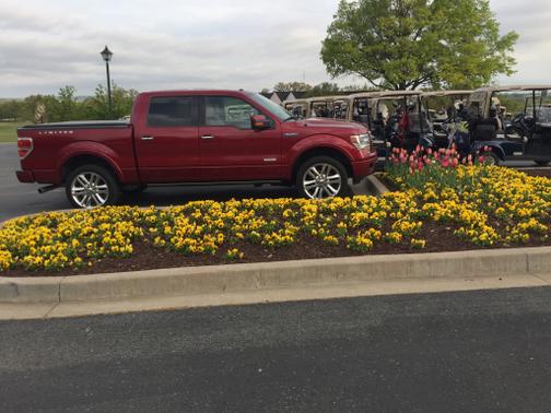 Photo 3 of 18 of 2013 Ford F-150 Limited