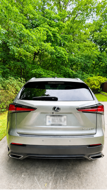 Gray 2019 Lexus NX 300 F Sport