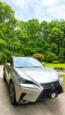 Gray 2019 Lexus NX 300 F Sport