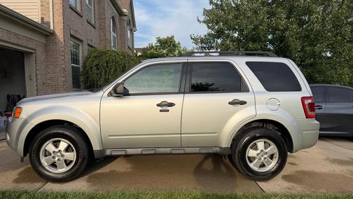 Silver 2010 Ford Escape XLT