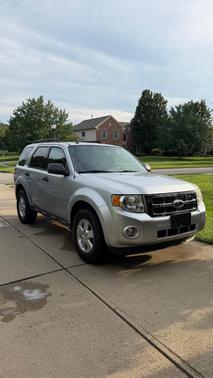 Silver 2010 Ford Escape XLT