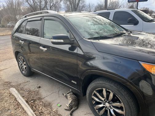 Black 2012 Kia Sorento SX