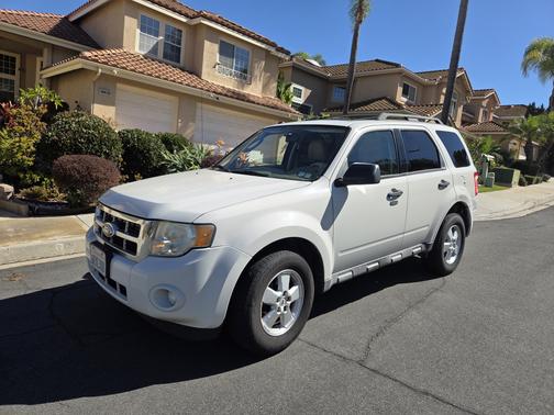 2010 Ford Escape XLT
