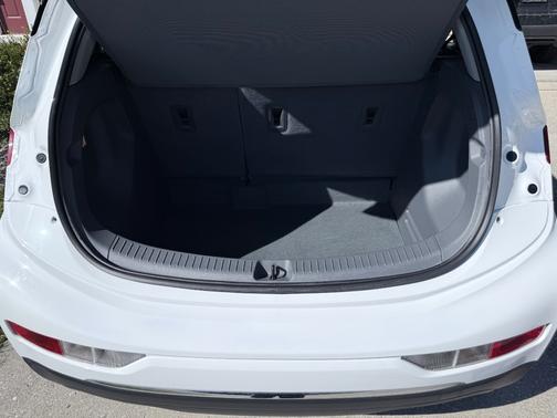 2021 Chevrolet Bolt EV LT