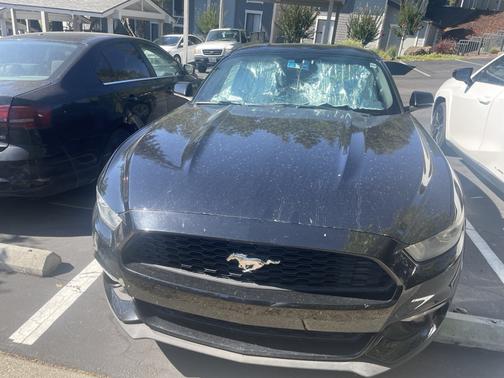 2015 Ford Mustang EcoBoost