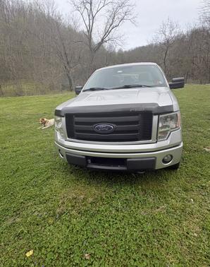 Silver 2012 Ford F-150 FX4