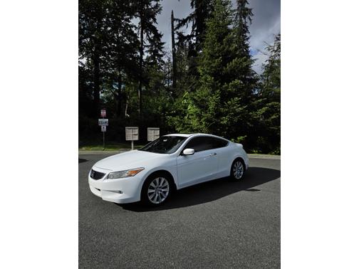 White 2008 Honda Accord EX-L