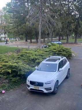 2019 Volvo XC90 T6 Momentum