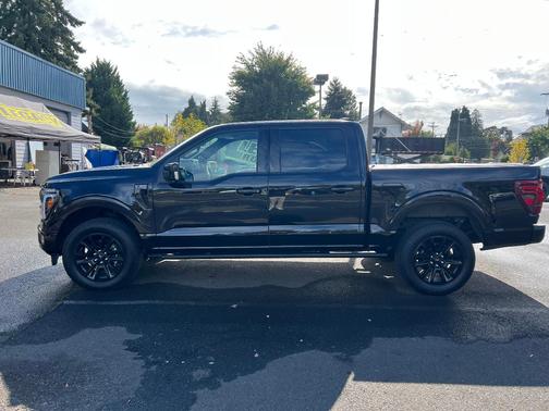 Black 2025 Ford F-150 Platinum