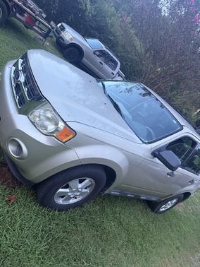 Silver 2010 Ford Escape XLS