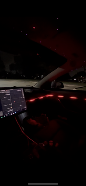2018 Tesla Model 3 Performance