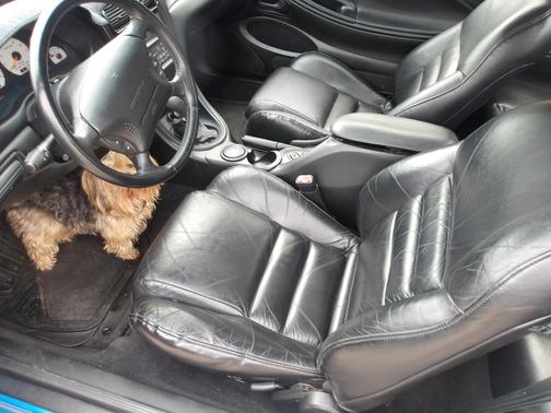 1998 Ford Mustang SVT Cobra