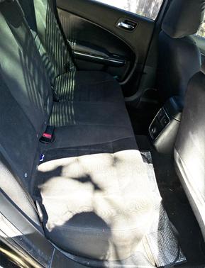 Black 2014 Dodge Charger SE