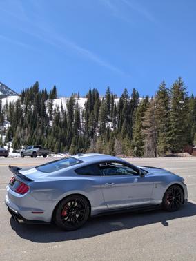 2022 Ford Shelby GT500 Base