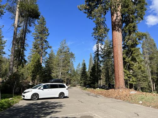 White 2017 Toyota Sienna SE Premium