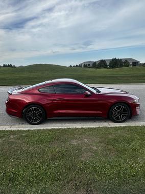 2020 Ford Mustang EcoBoost