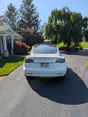 2019 Tesla Model 3 Standard Range Plus