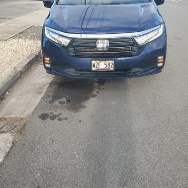 2024 Honda Odyssey EX-L