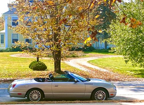2004 Ford Thunderbird Premium