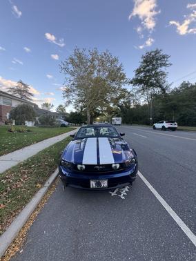 Blue 2010 Ford Mustang GT Premium