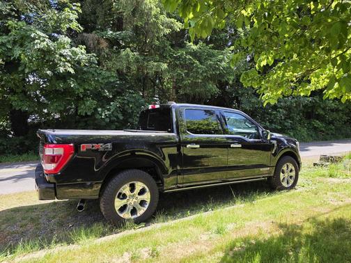 Black 2021 Ford F-150 Platinum
