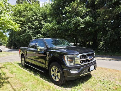 Black 2021 Ford F-150 Platinum