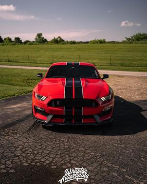 2016 Ford Shelby GT350 Base