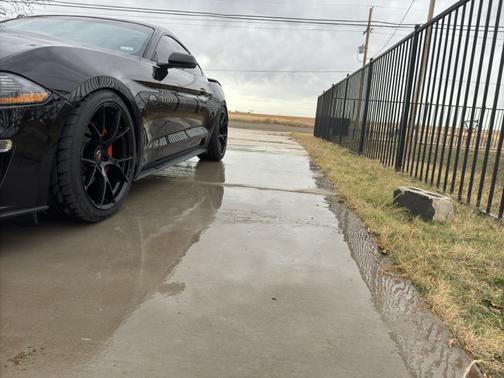 2019 Ford Mustang GT Premium