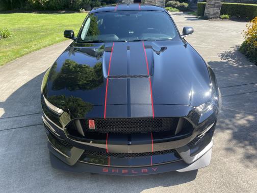 2017 Ford Shelby GT350R Base