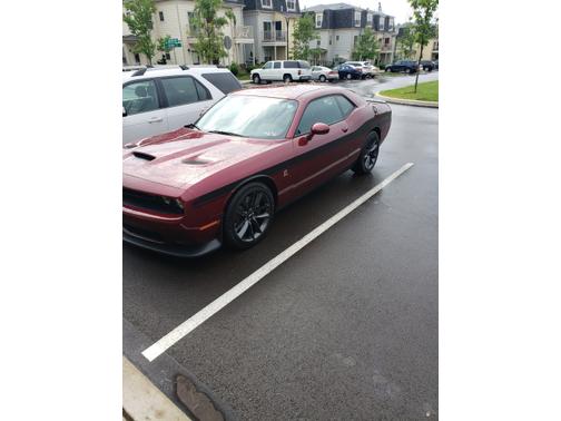 Brown 2019 Dodge Challenger R/T Scat Pack