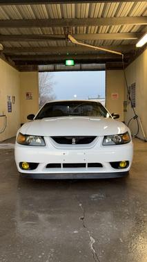 1999 Ford Mustang Cobra