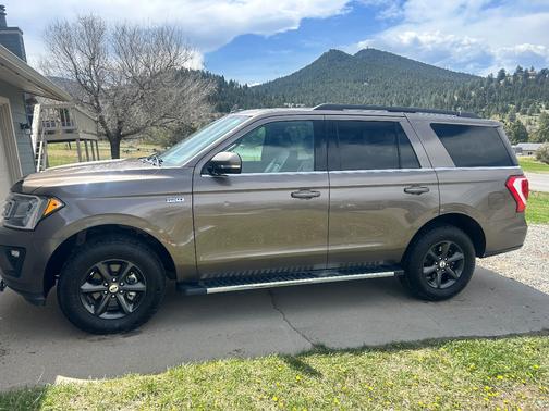 Beige 2019 Ford Expedition XLT