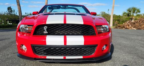 2010 Ford Mustang Shelby GT500